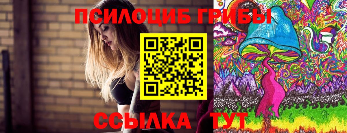 Светлоград  Галлюциногенные грибы Psilocybe  купить  цена  Вход с VPN  Галлюциногенные грибы прущие грибы 